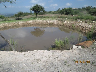 pequeño lago walker.JPG